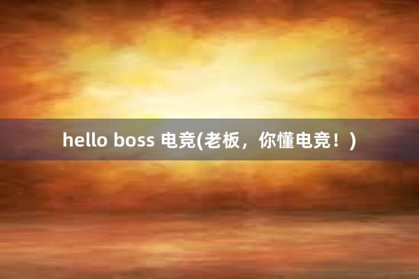 hello boss 电竞(老板，你懂电竞！)