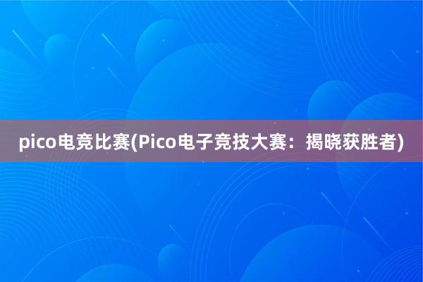 pico电竞比赛(Pico电子竞技大赛：揭晓获胜者)