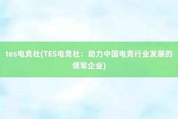 tes电竞社(TES电竞社：助力中国电竞行业发展的领军企业)