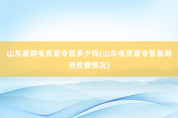 山东暑期电竞夏令营多少钱(山东电竞夏令营暑期班收费情况)