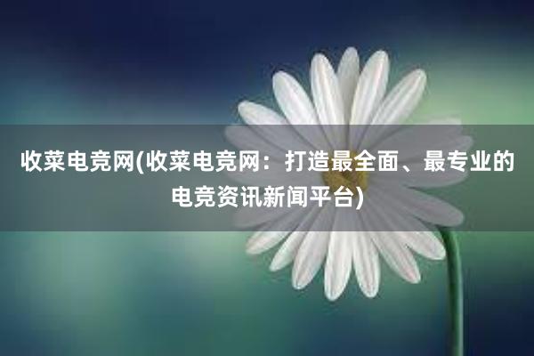 收菜电竞网(收菜电竞网：打造最全面、最专业的电竞资讯新闻平台)