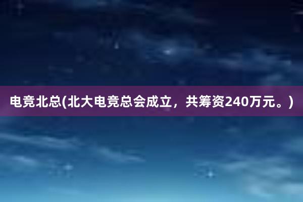 电竞北总(北大电竞总会成立，共筹资240万元。)