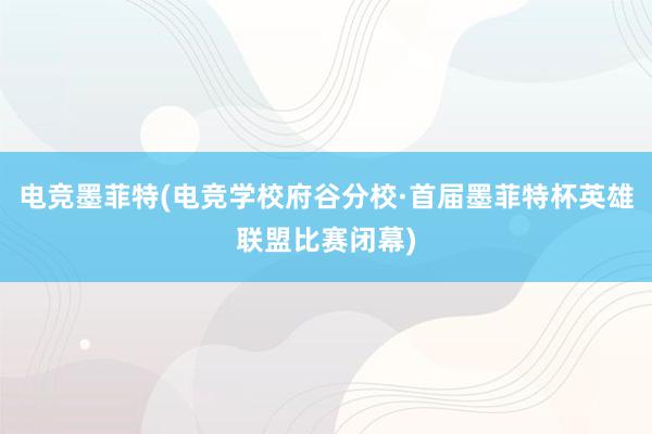 电竞墨菲特(电竞学校府谷分校·首届墨菲特杯英雄联盟比赛闭幕)