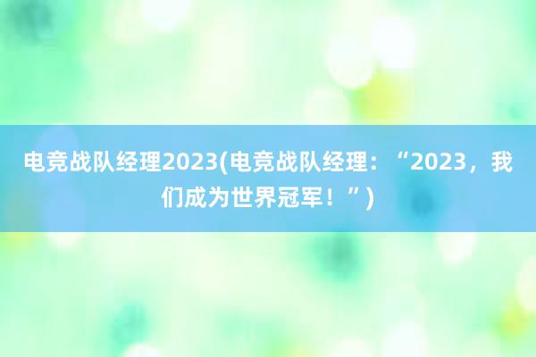 电竞战队经理2023(电竞战队经理：“2023，我们成为世界冠军！”)