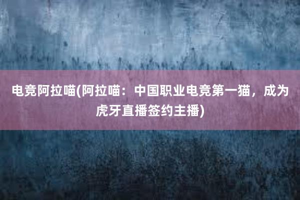 电竞阿拉喵(阿拉喵：中国职业电竞第一猫，成为虎牙直播签约主播)