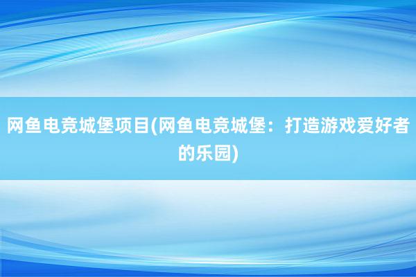 网鱼电竞城堡项目(网鱼电竞城堡：打造游戏爱好者的乐园)