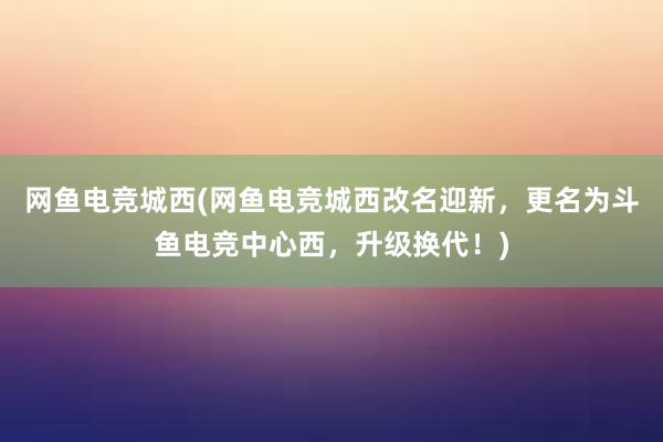 网鱼电竞城西(网鱼电竞城西改名迎新，更名为斗鱼电竞中心西，升级换代！)