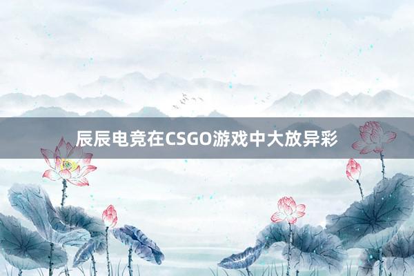 辰辰电竞在CSGO游戏中大放异彩