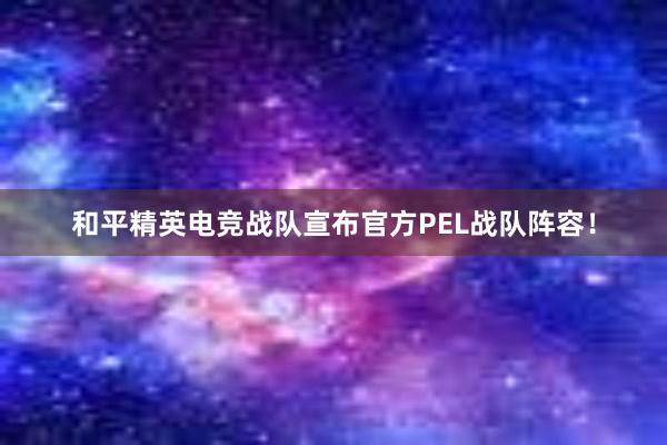 和平精英电竞战队宣布官方PEL战队阵容！