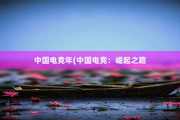 中国电竞年(中国电竞：崛起之路