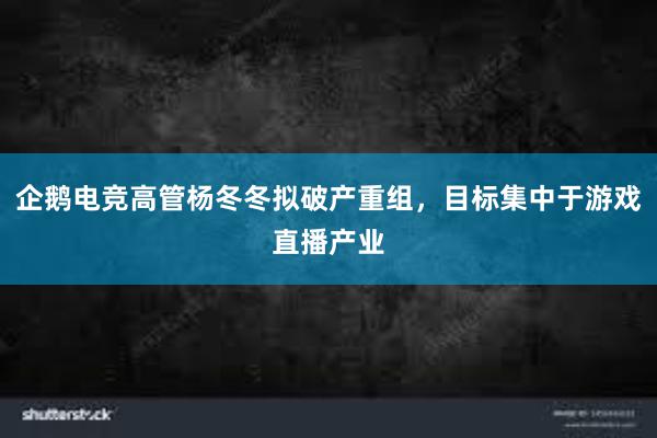 企鹅电竞高管杨冬冬拟破产重组，目标集中于游戏直播产业