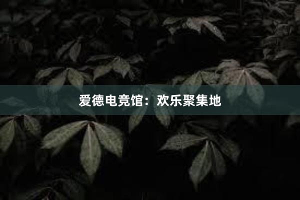 爱德电竞馆：欢乐聚集地