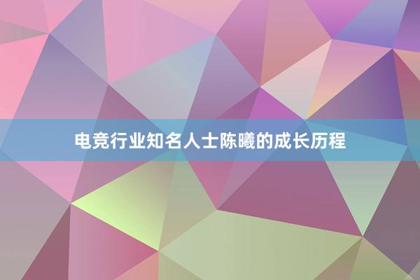 电竞行业知名人士陈曦的成长历程