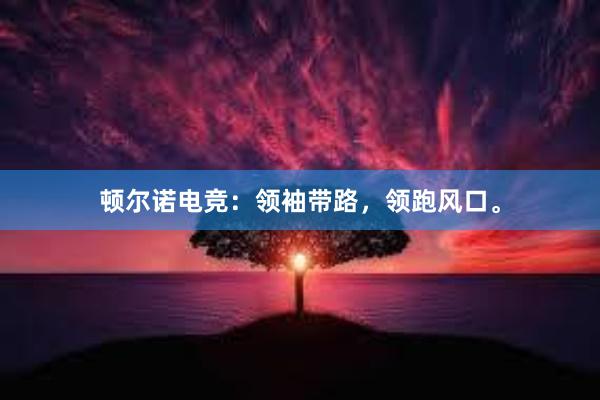 顿尔诺电竞：领袖带路，领跑风口。